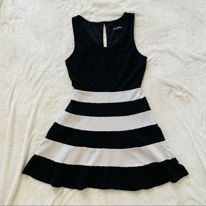 Express Skater Dress
